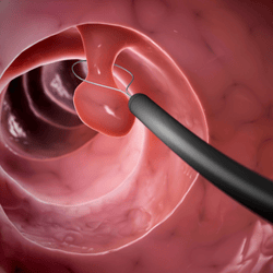 Genital Estetik, İç Dudak Estetiği, Labioplasti, Dış Dudak Estetiği, Vulvoplasti, Klitoris Estetiği, Hudoplasti, Vajinoplasti, Vajina Daraltma, Perinoplasti, Doğum İzleri Estetiği, Kızlık Zarı Onarımı, Himenorafi, Himenoplasti, Ürojinekoloji, Pelvik Taban Bozuklukları, İdrar Kaçırma, İnkontinans, Stres İnkontinans, Urge İnkontinans, Mikst İnkontinans, Sistosel, İdrar Torbası Sarkması, Rektosel, Bağırsak Fıtığı, Rahim Sarkması, Jinekoloji, Myomlar, Yumurtalık Kistleri, Endometriozis, Çikolata Kisti, Bartholin Kisti, Rahim Perdesi, Uterin Septum, Rahim İçi Polipler, Rahim Ağzı Lezyonları, Cinsel Yolla Bulaşan Hastalıklar, HPV, Genital Siğiller, Frengi, Sifiliz, Bel Soğukluğu, Gonore, Klamidya Enfeksiyonu, Trikomonas Enfeksiyonu, Mikoplazma Enfeksiyonu, Ureaplasma Enfeksiyonu, Genital Uçuk, Herpes, Yumuşak Çıban, Şankroid, Donovanoz, Granüloma İnguinale, İnfertilite, Primer İnfertilite, Sekonder İnfertilite, Açıklanamayan İnfertilite, HSG, Jinekolojik Endokrinoloji, PKOS, Adet Düzensizliği, Erken Menopoz, Sık Adet Görme, Yoğun Kanamalar, Gebelik Takibi